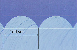 Cross-section of lenticular